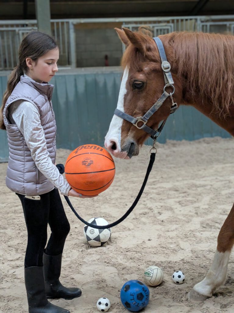 pxl 20251101 121333112.mp~2