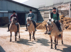 ali myra saar afscheid daalderhof